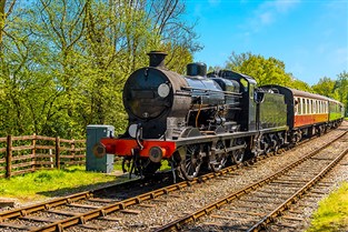 Gold Steam on the Kent Coast & Sussex Countryside