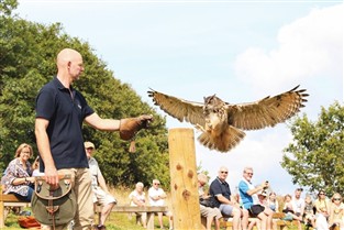 National Botanic Gardens and Bird of Prey Centre