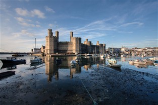 Turkey n Tinsel in Caernarfon GOLD
