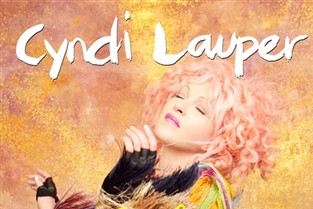 Coach only service - Cyndi Lauper Birmingham