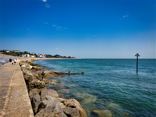 Springtime in Exmouth GOLD