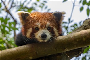 Paignton Zoo in Devon