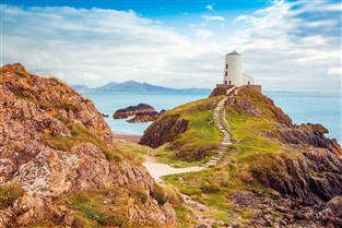 Anglesey Puffins & Nostalgic Journeys GOLD
