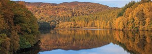 Autumn Colours of Scotland & Enchanted Forest GOLD