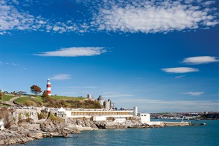 Turkey n Tinsel in Devon