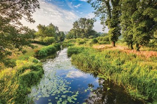 Constable Country & Secret Suffolk GOLD