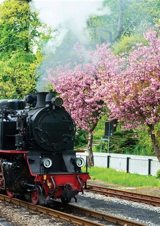 Rails to Royalty-A Midland Journey GOLD