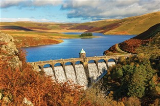 Springtime in the Heart of Wales GOLD