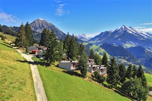 Nestle Amongst the Glaciers GOLD