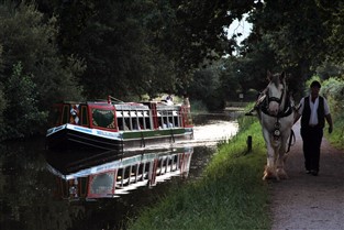 Horse Drawn Barge Tiverton