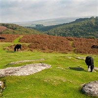 Dartmoor Scenic with Lunch GOLD Coach