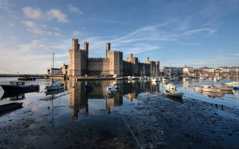 Turkey n Tinsel in Caernarfon GOLD