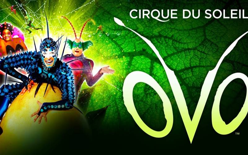 Cirque du Soleil OVO - Birmingham 3.30pm matinee