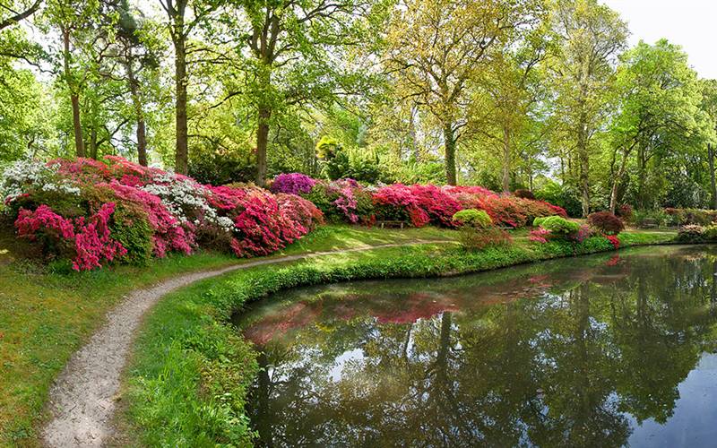 Exbury Gardens - Hampshire GOLD
