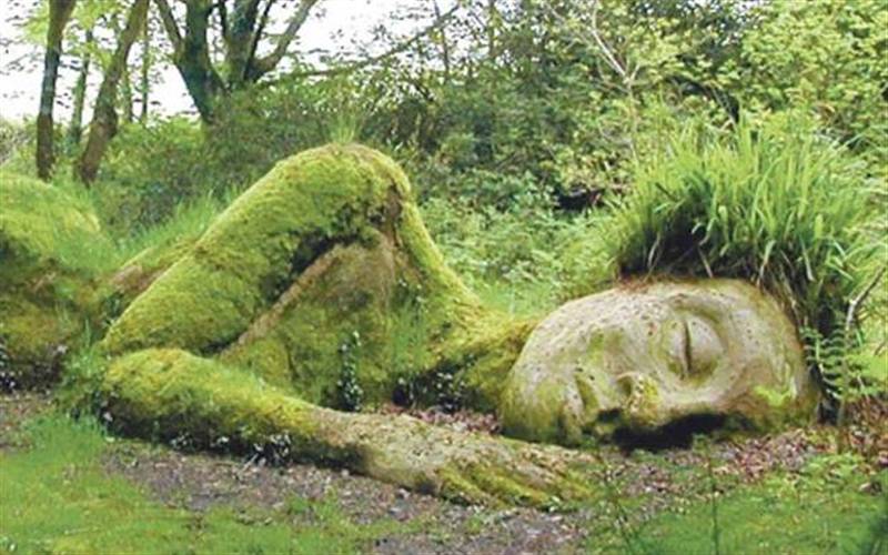 Eden Project and Lost Gardens of Heligan Overnight