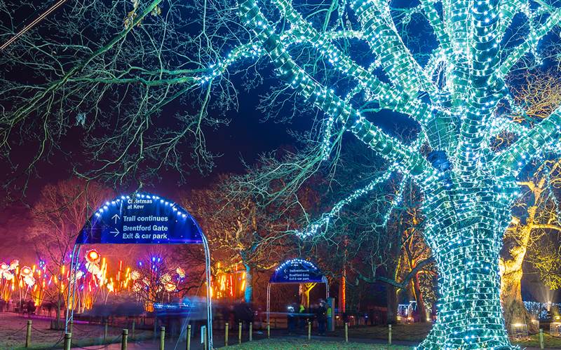 Christmas at Kew & Royal Windsor