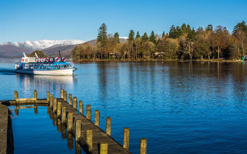 Lake District Turkey n Tinsel GOLD