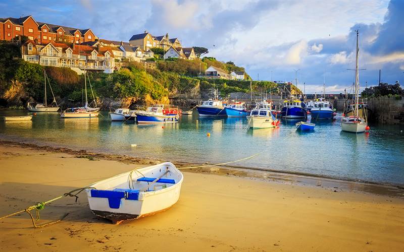 Newquay Turkey n Tinsel