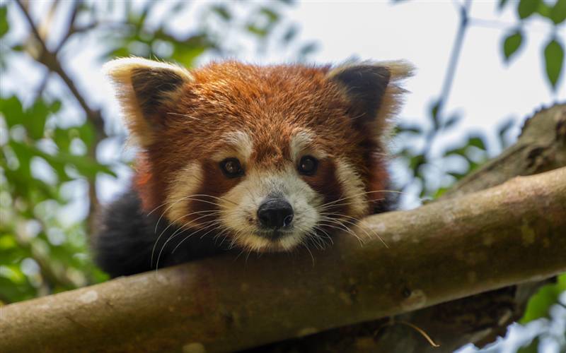 Paignton Zoo in Devon
