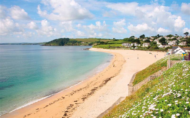 Falmouth with Style GOLD