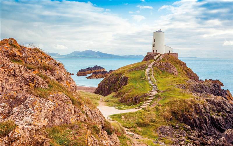 Anglesey Puffins & Nostalgic Journeys GOLD
