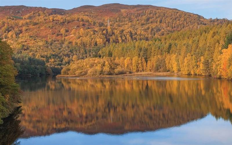 Autumn Colours of Scotland & Enchanted Forest GOLD