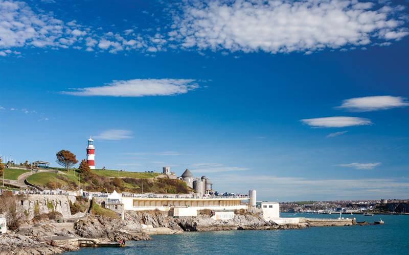 Turkey n Tinsel in Devon