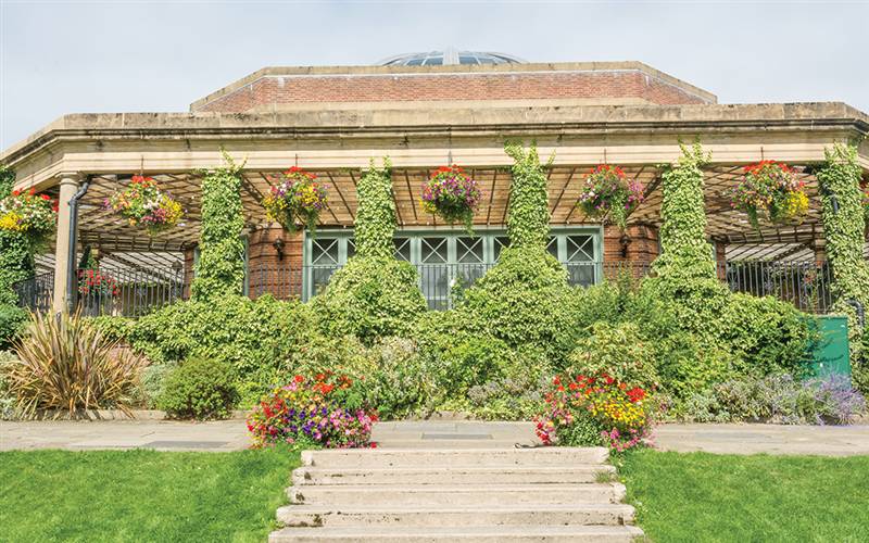 Harrogate,York & World of James Herriot GOLD