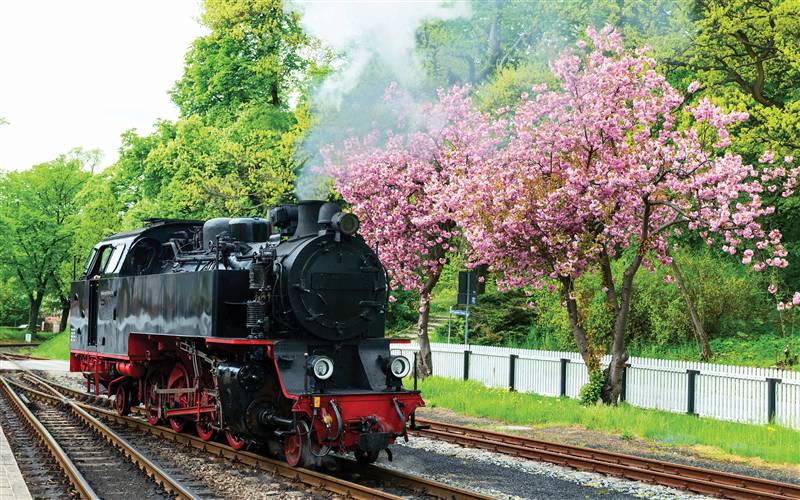 Rails to Royalty-A Midland Journey
