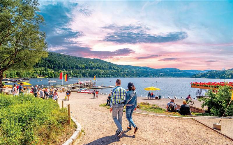 The Heart of the Black Forest GOLD