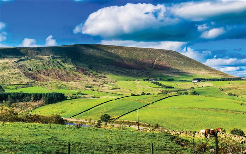 GOLD - The Romantic Ribble Valley 