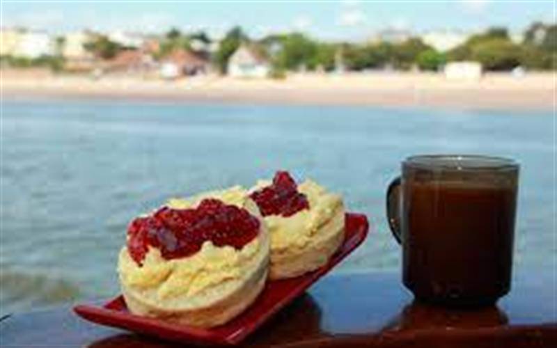 Exeter Canal Cruise to Exmouth with cream tea