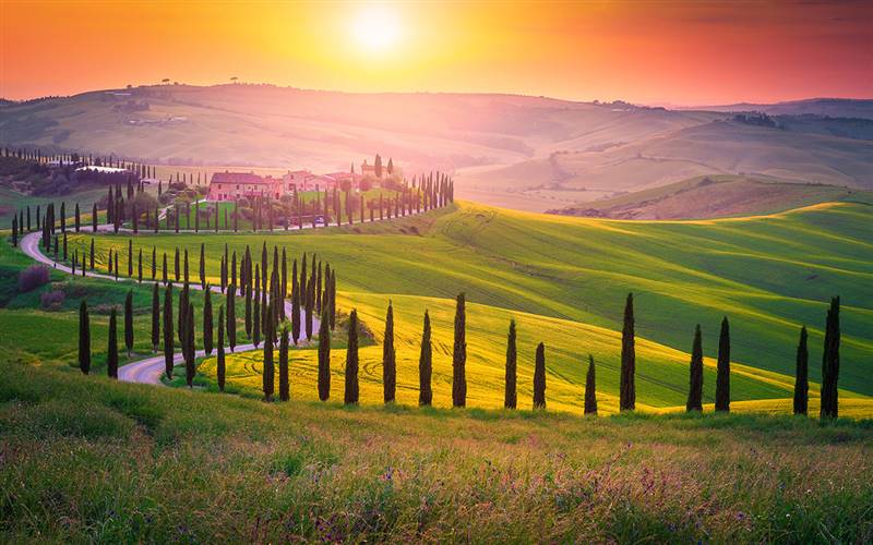 Tuscany Sights & Delights GOLD