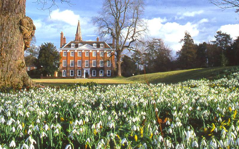 Welford Park 5-acre wood & snowdrops GOLD